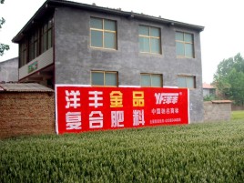  江阴如何让墙体广告展现最大化效果